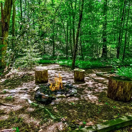 Lucilles Creekside Hideaway Villa Blue Ridge Exterior photo